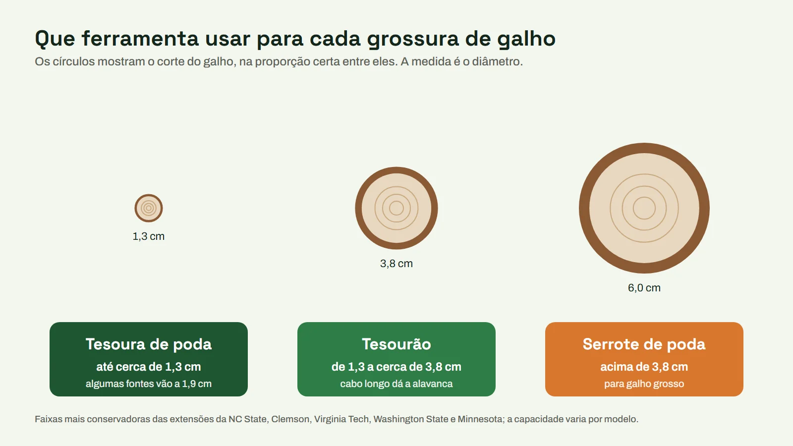 Esquema com três cortes de galho em proporção: tesoura de poda até cerca de 1,3 cm, tesourão de 1,3 a 3,8 cm e serrote de poda acima de 3,8 cm
